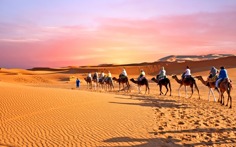 Kamelentocht en overnachting in bedoeïenentent in de woestijn